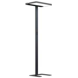 Arcchio LED Aila 10025786 Dimmbar mit Bewegungsmelder Modern in Schwarz aus Aluminium 2-flammig Arbeitszimmerleuchte