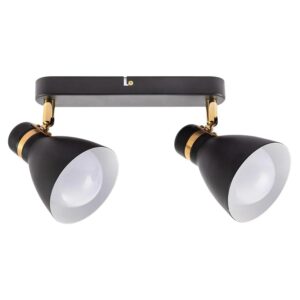 Arte Lamp Deckenstrahler Fafnir 2-flammig schwenkbar Schwarz E27