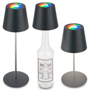 Brilo Akku Tischleuchte Calida Touch Dimmbar Flaschenaufsatz 36 cm Anthrazit