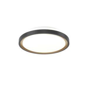 Eglo LED-Deckenleuchte Maleramara Schwarz-Gold RGB/CCT Ø 35