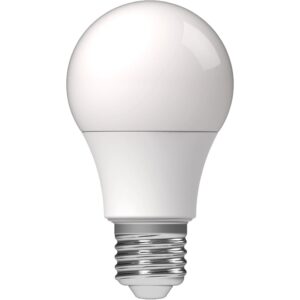 LED-Leuchtmittel E27 Klassisch A 60 2
