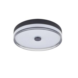 Lindby LED Deckenleuchte Aldorin 10019951 Dimmbar Modern in Schwarz 1-flammig Wohnzimmerleuchte
