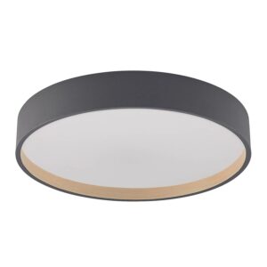 Lindby LED Deckenleuchte Todor 9924025 Dimmbar mit Leselampe Modern in Schwarz 1-flammig Wohnzimmerleuchte
