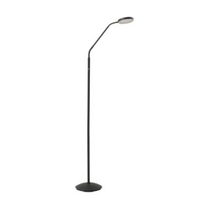 Lindby LED Stehlampe Elvyn 10041962 Dimmbar Modern in Schwarz aus Metall 1-flammig Wohnzimmerleuchte
