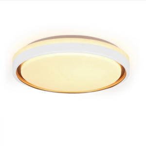 NETTLIFE LED Deckenleuchte aus Kunststoff L30cmWeiß-1