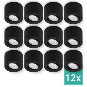 Oktaplex 12er Set Strahler Spots Lile S inkl. LED-Module Dimmbar Warmweiß 2700K 230V Alu Schwarz