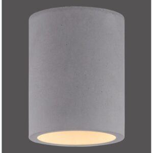 Paul Neuhaus Deckenleuchte Eton Beton 11 x 14 cm rund