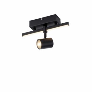 Paul Neuhaus LED-Wand- und Deckenleuchte Barik Schwarz 25