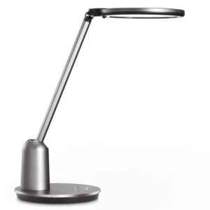 Philips Arbeitsleuchte Einstein 15 W 2800-5100 K 630