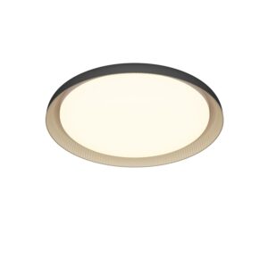 Philips Deckenleuchte Pebblo Schwarz Ø 32 cm
