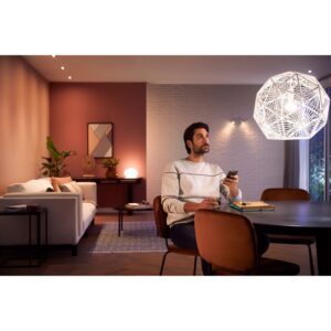 Philips Hue LED-Leuchtmittel White E27 2 x 800