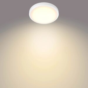 Philips LED-Deckenleuchte Balance 2700 K 1600