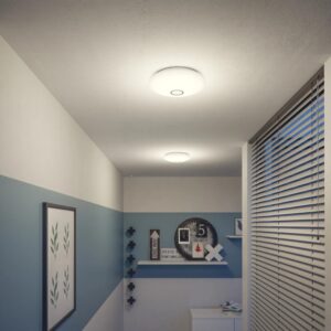 Philips LED-Deckenleuchte Mauve IR Weiß 640