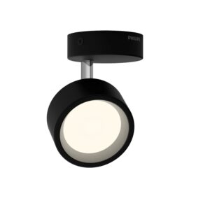 Philips Spotleuchte Bracia 1-Flammig 5