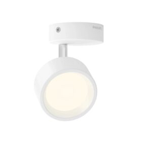 Philips Spotleuchte Bracia 1-Flammig 5