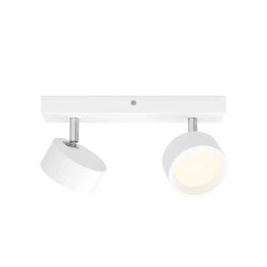 Philips Spotleuchte Bracia 2-Flammig 5