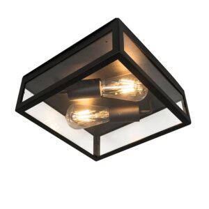 QAZQA Industrielle Outdoor-Deckenleuchte Schwarz 2-flammig Rotterdam
