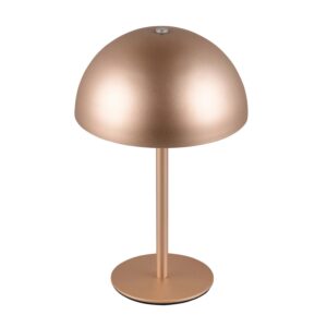 Reality LED-Tischleuchte Munoz Coffee Ø 13 cm
