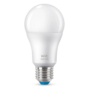 WiZ LED-Leuchtmittel Matt E27 Tunable Glühlampenform 8 W 806